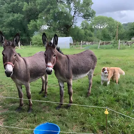 La Ruche - Coquelicot Bed and Breakfast 3*