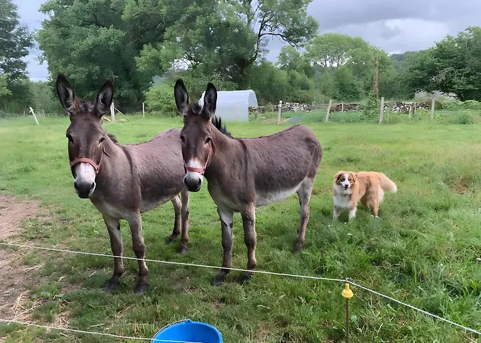 La Ruche - Coquelicot Bed and Breakfast 3*