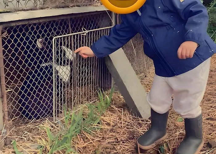 Bed and Breakfast La Ruche - Coquelicot