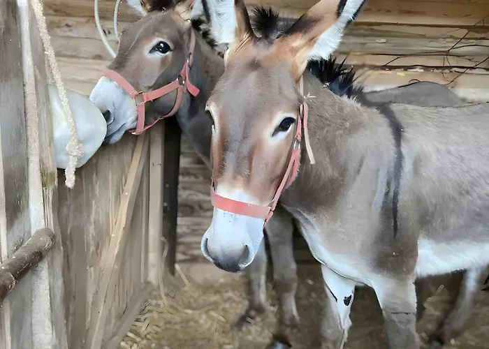 La Ruche - Coquelicot Bed and Breakfast