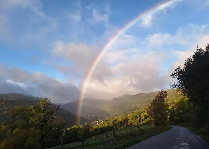 La Ruche - Coquelicot Mauriac (Cantal)