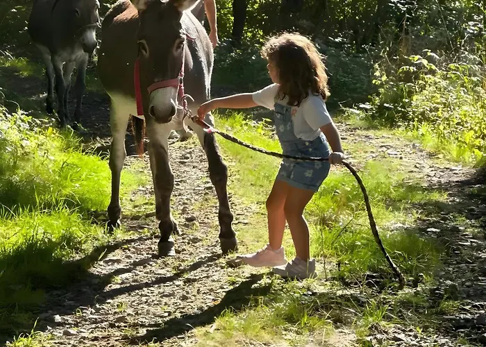 La Ruche - Coquelicot 3* Mauriac (Cantal)